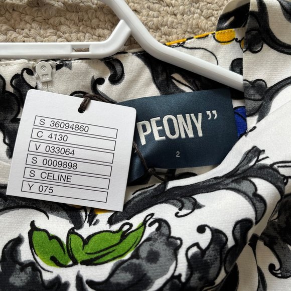 NWT Anthropologie 'Peony' Size 2 Summer Event Dress - Picture 5 of 10